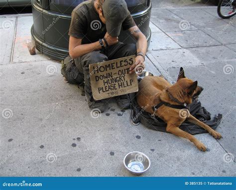 Homeless Man With Dog Royalty Free Stock Photo Image 385135