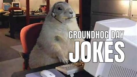 55 Funny Groundhog Day Jokes And Puns In 2023 Humornama