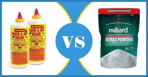 How can you use borax to kill termites? Is Boric Acid the Same as Borax ? | Best Roach Killer