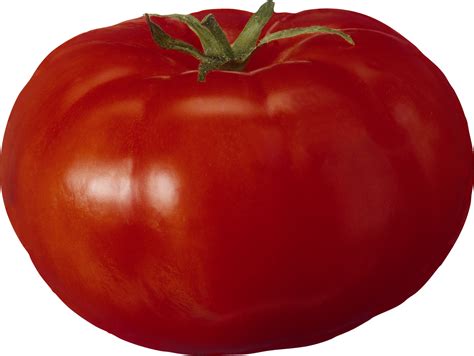 Tomato Big Red Png Transparent Image Download Size 1301x978px