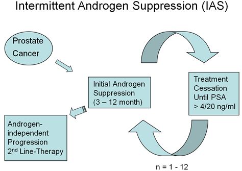 Intermittent Androgen Suppression Therapy For Prostate Cancer Patients