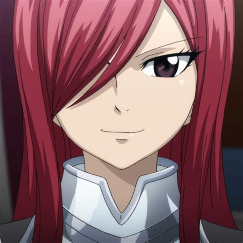 Fairy Tail Wiki Erza Here S The List Of Her Most Commonly Equipped