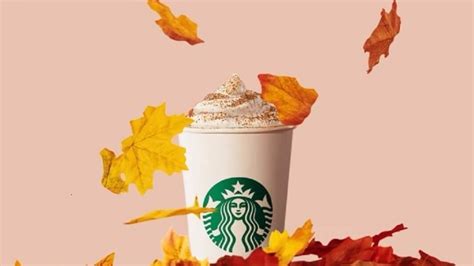 We had so much fun making this video! 9 Vegan Starbucks Drinks Perfect for Fall in 2020 | Vegan ...