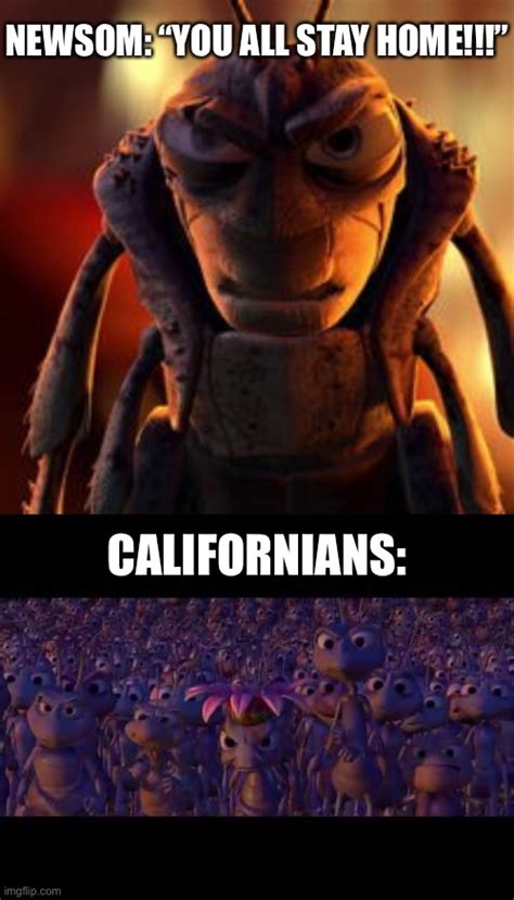 California Is A Bugs Life And Newsom Is Hopper Imgflip