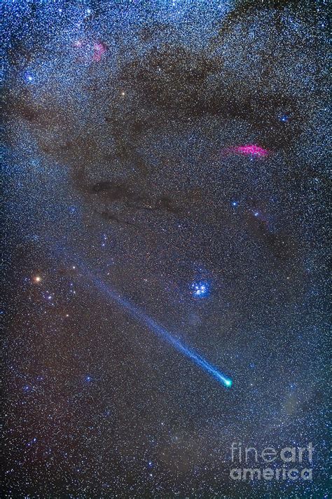Comet Lovejoys Long Ion Tail In Taurus Photograph By Alan Dyer Pixels