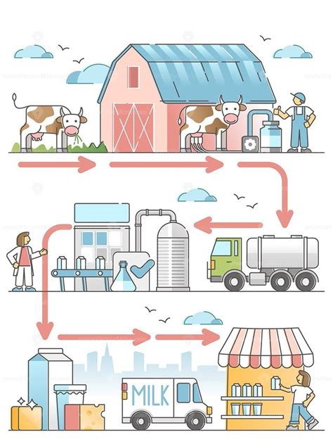 Milk Production Diagram With Dairy Industry Process Chain Outline