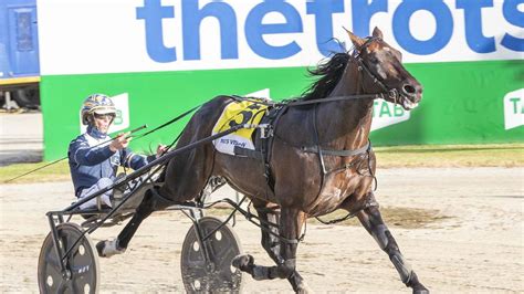 Harness Racing Captain Ravishing ‘primed For Victoria Cup But Barrier A Concern