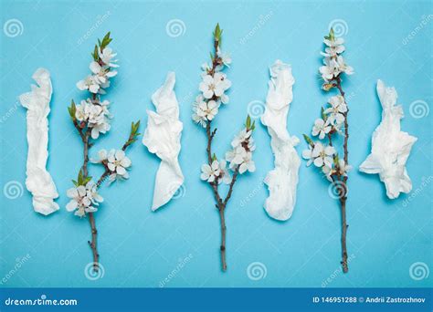 Allergy Concept White Used Napkins And Flowers Stock Photo Image Of