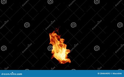 Fire Torch Isolated On Black Background Looped Footage Stock Footage