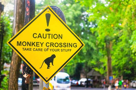 It's Easy for Women to Travel Solo to Bali: Here's How and Why