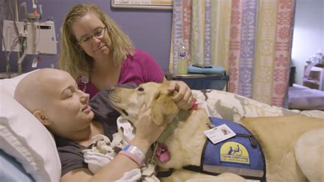 Canine Companions Facility Dogs At Sutter Health Youtube