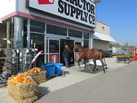 Dixie At Tractor Supply Tractor Supplies Tractors Supply