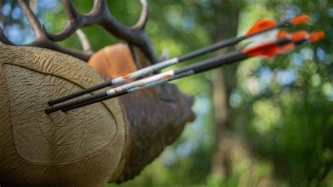 Manufacturer Spotlight Rinehart Targets Archery Business