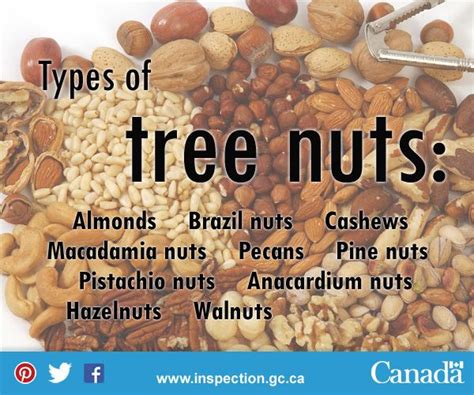 If You Or Someone You Know Has A Tree Nut Allergy Look Out For These