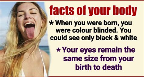 You Will Be Shocked If You Know These Amazing Facts About Human Body The Youth
