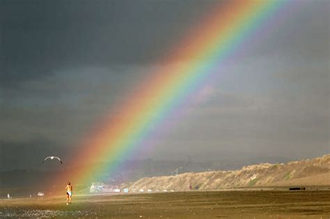 Why Sf Is Moving 42000 Tons Of Sand Down Ocean Beach Sfgate