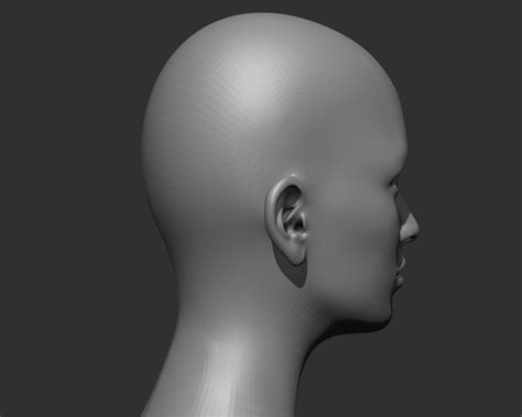 Realistic Human Heads 3d Model Collection Cgtrader
