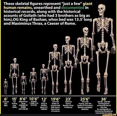 These Skeletal Figures Represent Just A Few Giant Human Remains Unearthed And Documented In