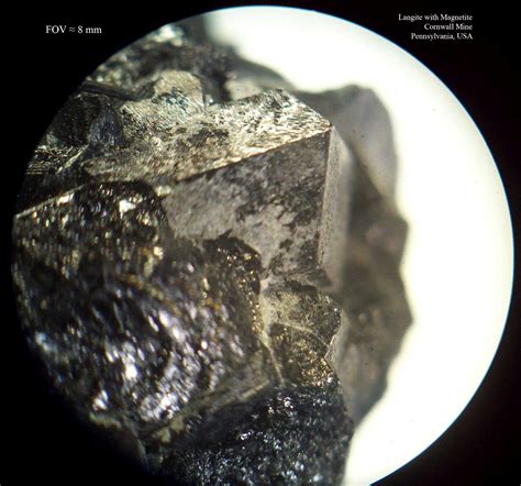 Louisville Fossils And Beyond Pennsylvanias Cornwall Mine Magnetite