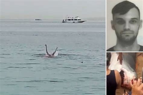 Hombre ruso mutilado hasta la muerte por tiburón tigre en la costa de Egipto julio