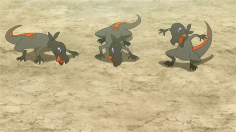 25 Awesome And Amazing Facts About Salandit From Pokemon Tons Of Facts