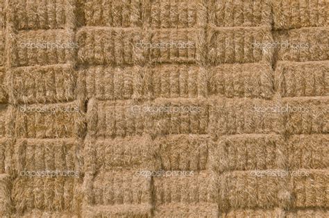 Straw Texture — Stock Photo © Thomaslenne 29286583