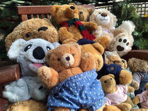 Download Teddy Bears Picnic Day - July 10 - A Great Family Day Out ...