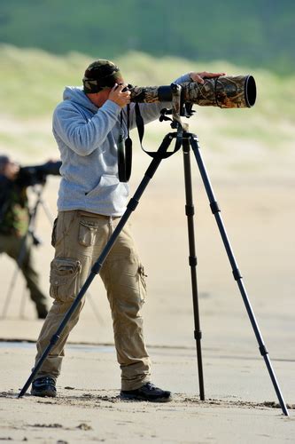 Become a Wildlife Photographer