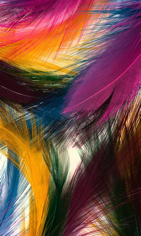 Colorful Feathers Mobile Phone Wallpaper ~ 480 800 Hd