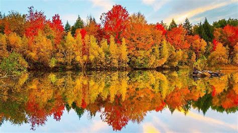 Its Official Quebecs Fall Foliage Is Going To Be More Beautiful Than