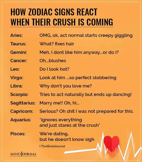 How Zodiac Signs React When Their Crush Is Coming