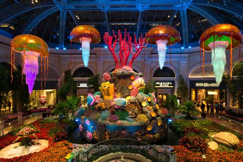 The conmen in vegas 1999 phim4d com clip1. Bellagio Conservatory brings underwater life to the Strip ...