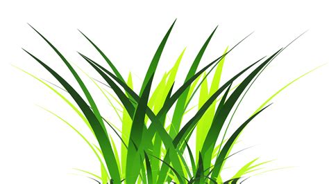 Grass Png Transparent Image Free Download Image Free Download