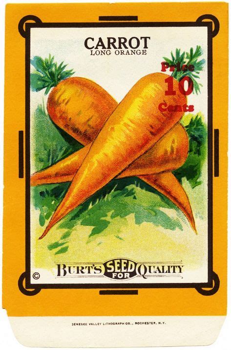 Carrot Seed Packet Old Fashioned Garden Vintage Seed Packet Flower