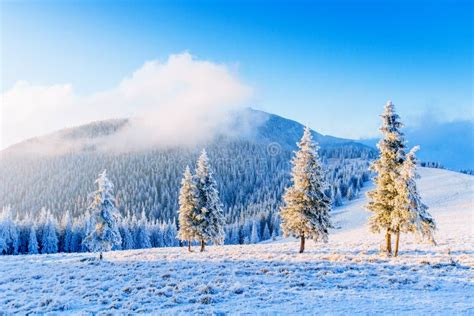 Fantastic Winter Landscape In The Mountains Sunset Stock Image Image