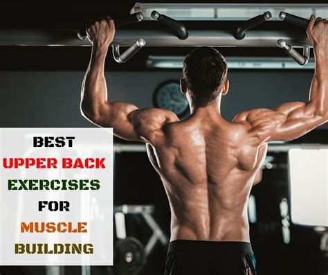 7 Exercises To Build Muscle Nakpicstore