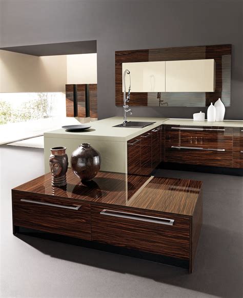 Explore the best info now. Ebony wood modern kitchen cabinets - San Diego - by BKT ...