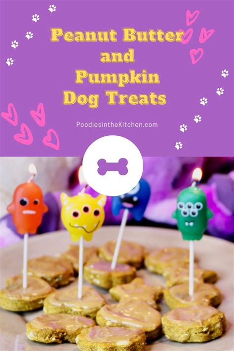 Peanut Butter And Pumpkin Dog Treats Poodles In The Kitchen Recipe