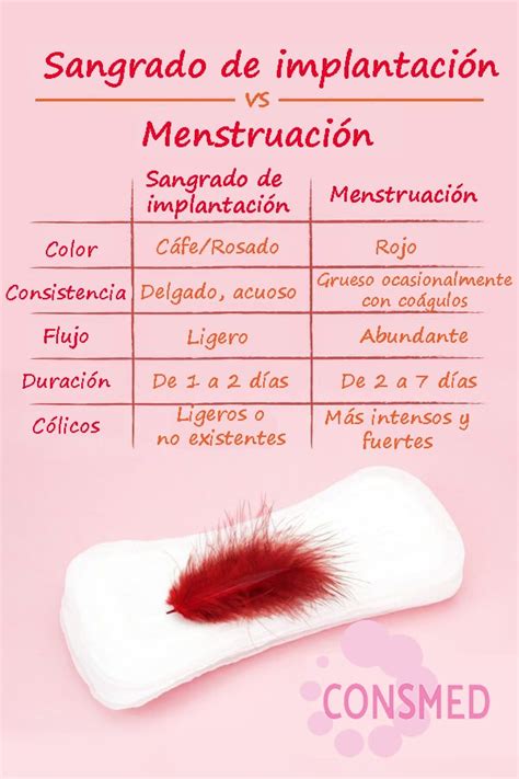 Como Es El Color De La Menstruacion Si Estas Embarazada Infoupdate Org