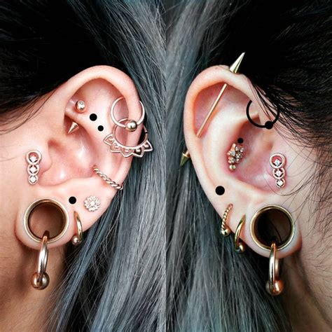 Ear Project Ideas The Black Marks Are Where I Plan To Get New