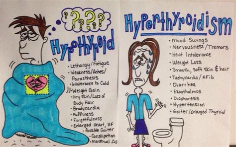 Hypothyroidism Vs Hyperthyroidism Faculty Of Medicine
