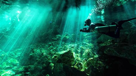 Cenote Diving Tulum Mexico 2021 Best Cenotes Guide