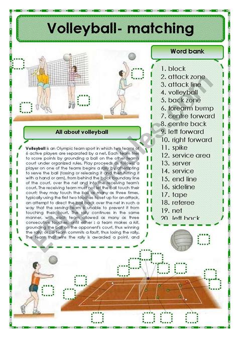 Volleyball Matching Exercise Esl Worksheet By Oppilif