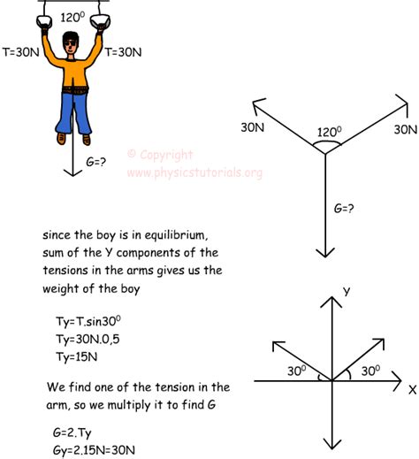 Dynamics Equilibrium With Examples Physics Tutorials