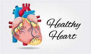 Healthy Human Heart Diagram Gambaran