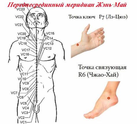 Лертиден меридиан диет цена Переднесрединный меридиан (канал) Жэнь Май Переднесрединный меридиан (канал) Жэнь Май Лертиден меридиан диет цена