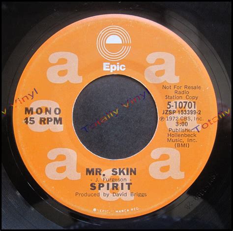 Totally Vinyl Records Spirit Mr Skin Mono 300 Stereo 300 7