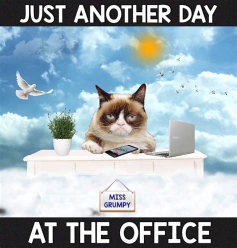 A Grumpy Cat Sitting At A Desk With The Caption Just Another Day At