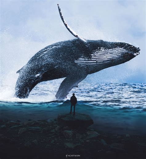 Blue Whale Wallpaper For Sale Save 48 Jlcatjgobmx