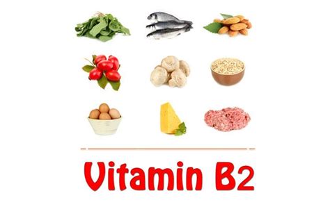 Top 10 Vitamin B2 Rich Foods To Include In Your Diet Holistic Life